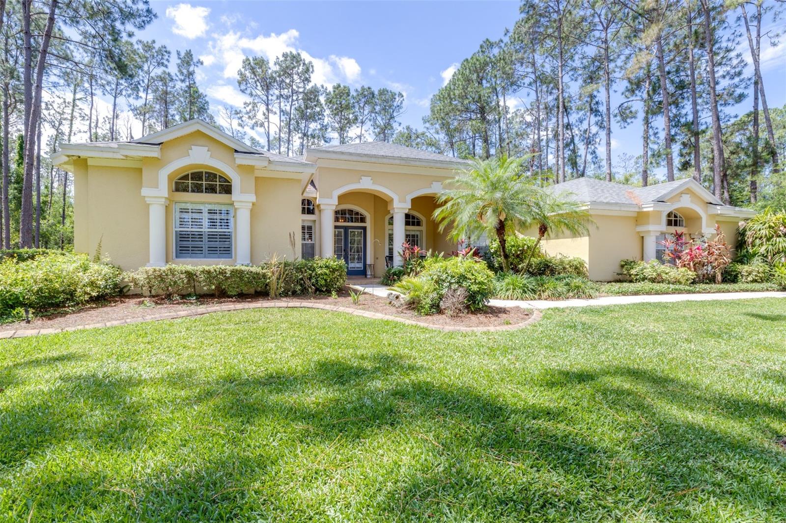 313 PINE BLUFF DR, LUTZ, FL, 33549