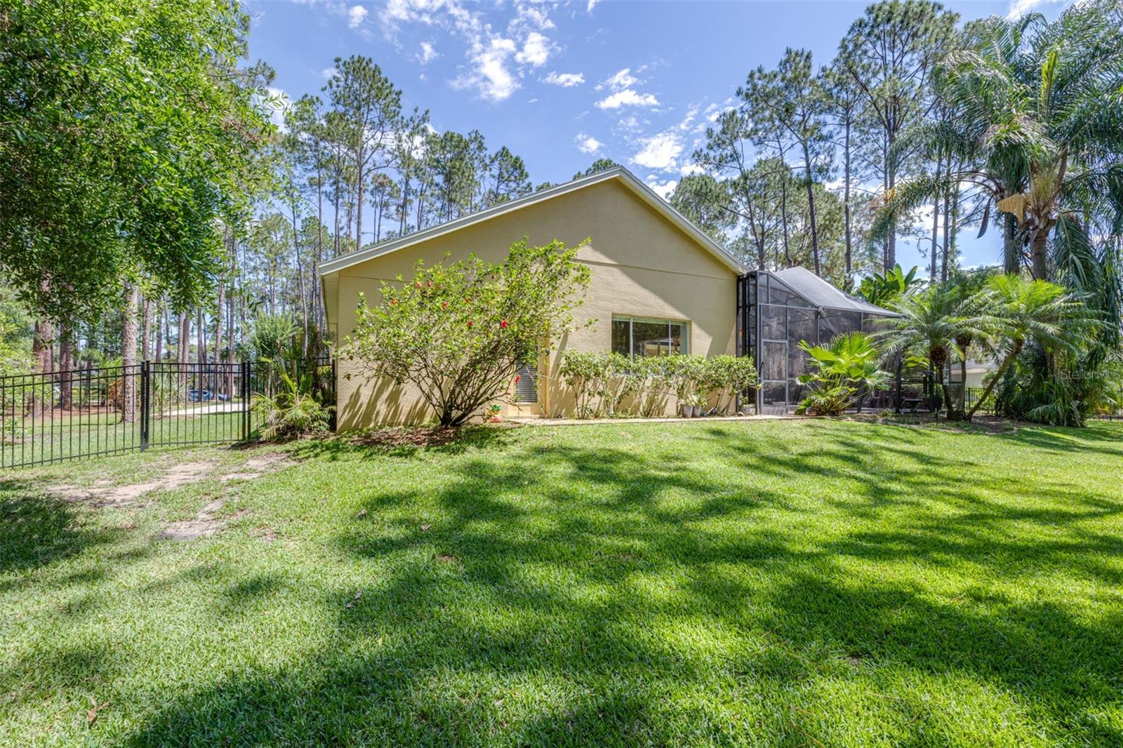 313 PINE BLUFF DR, LUTZ, FL, 33549