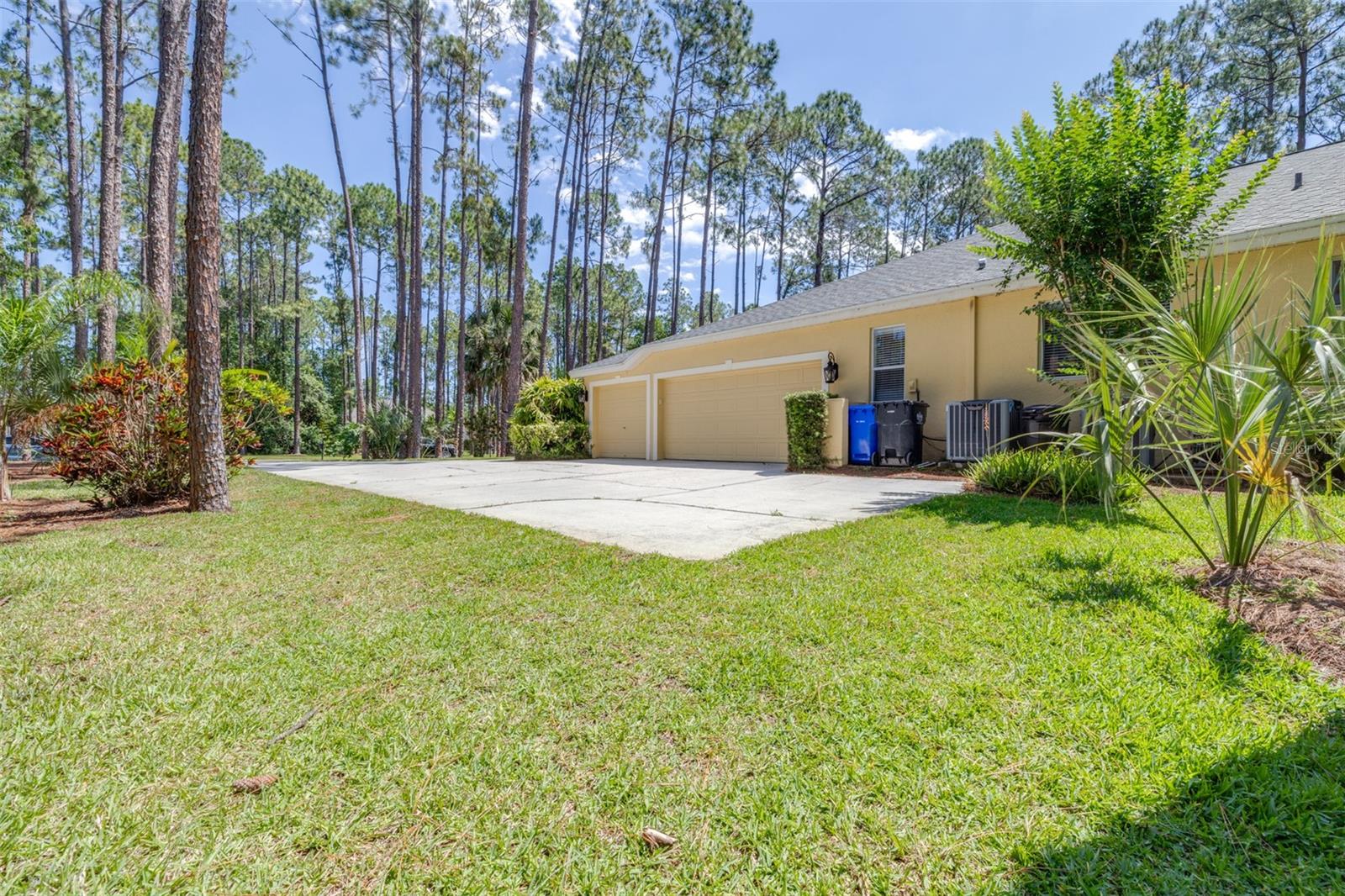 313 PINE BLUFF DR, LUTZ, FL, 33549