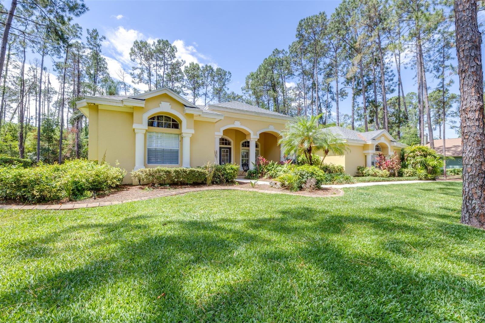 313 PINE BLUFF DR, LUTZ, FL, 33549