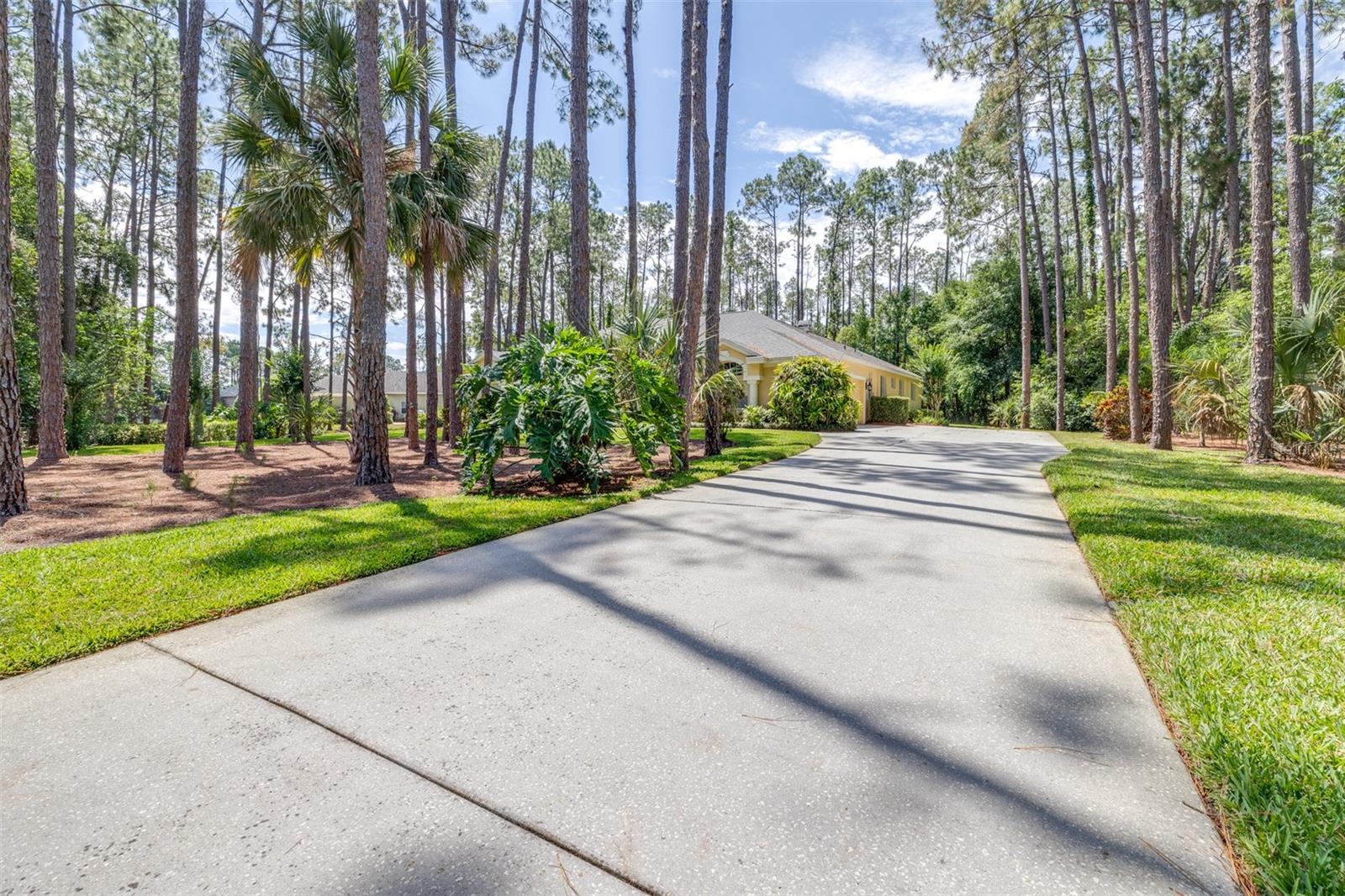 313 PINE BLUFF DR, LUTZ, FL, 33549