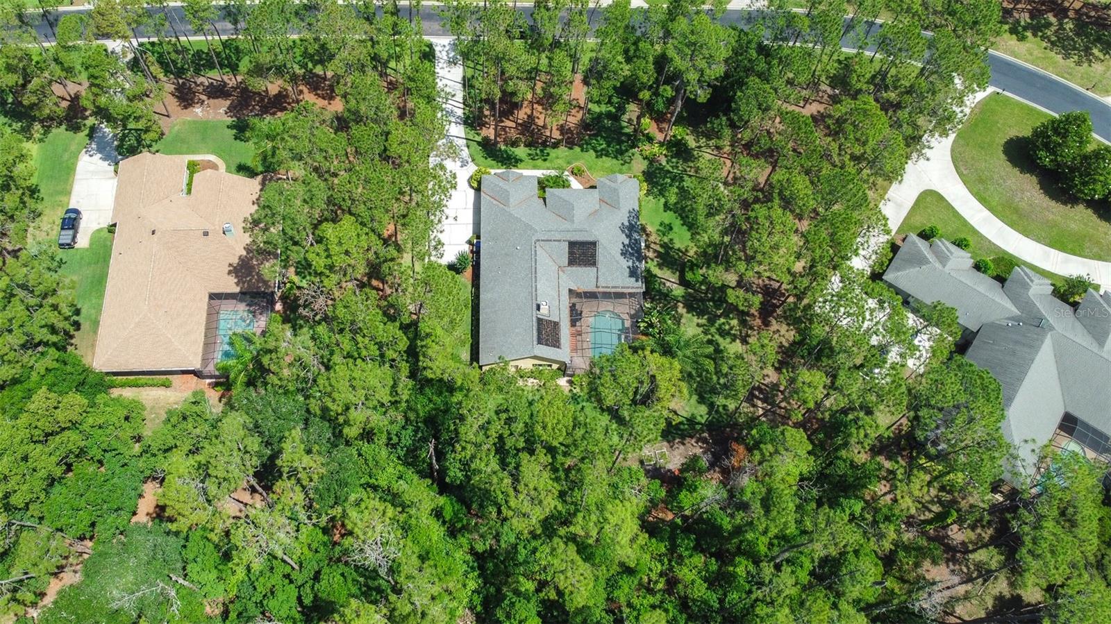 313 PINE BLUFF DR, LUTZ, FL, 33549