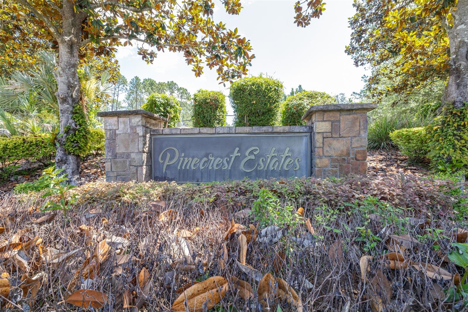 313 PINE BLUFF DR, LUTZ, FL, 33549