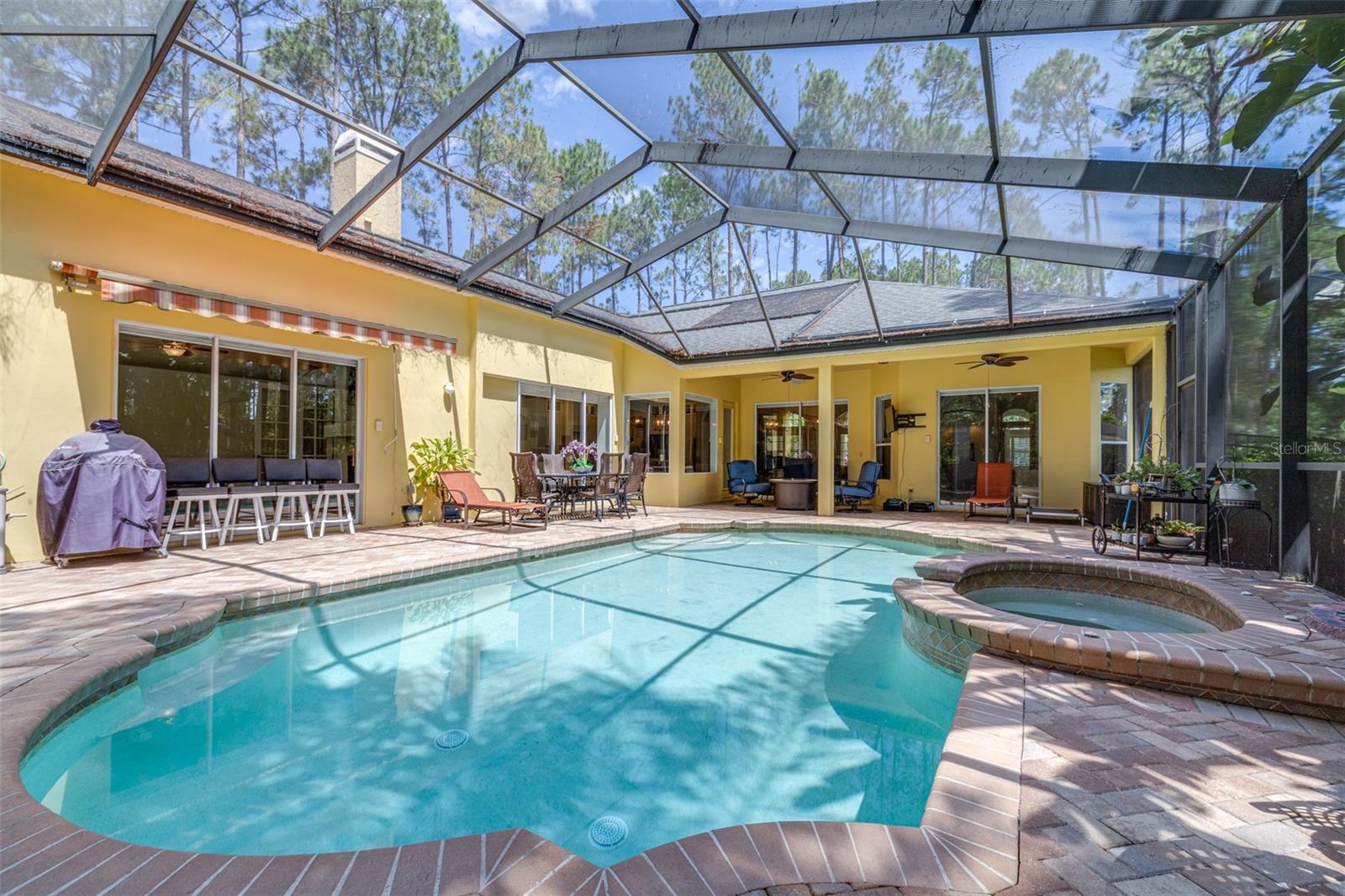 313 PINE BLUFF DR, LUTZ, FL, 33549