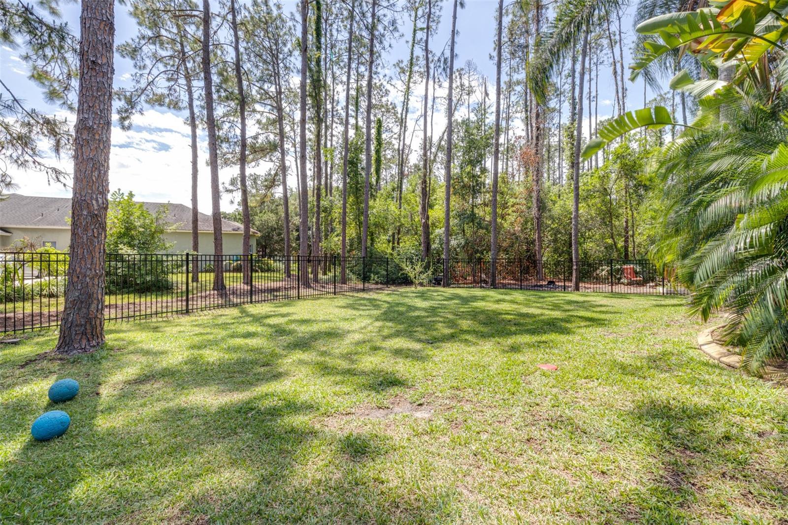 313 PINE BLUFF DR, LUTZ, FL, 33549