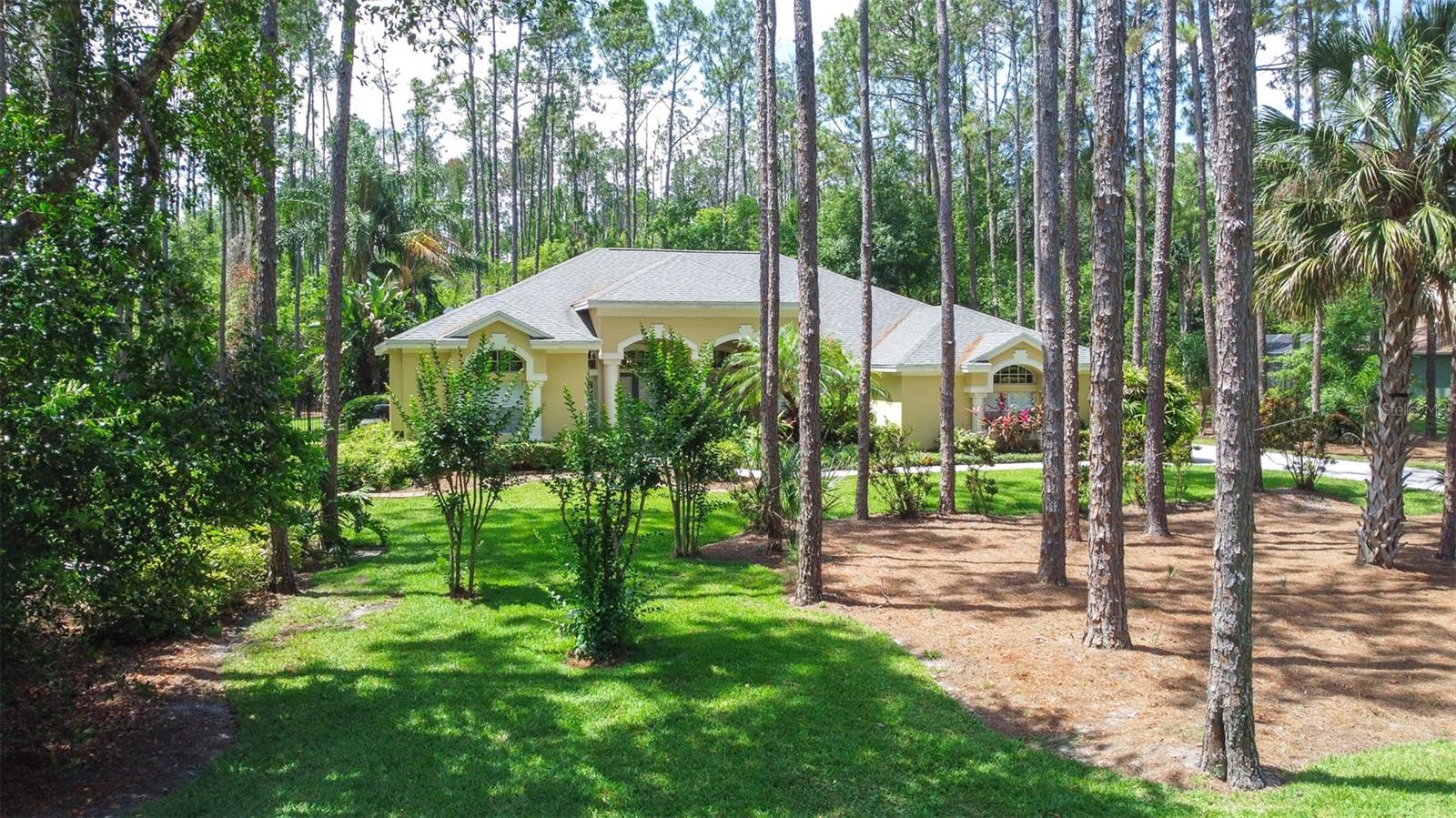 313 PINE BLUFF DR, LUTZ, FL, 33549