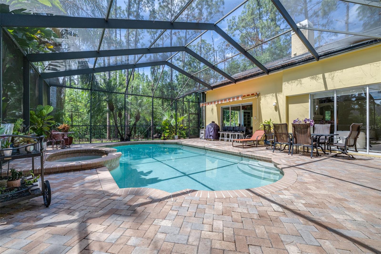 313 PINE BLUFF DR, LUTZ, FL, 33549