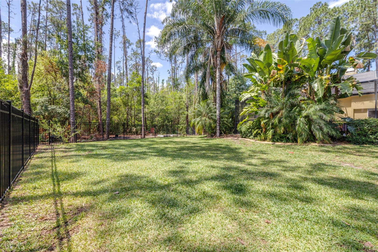 313 PINE BLUFF DR, LUTZ, FL, 33549