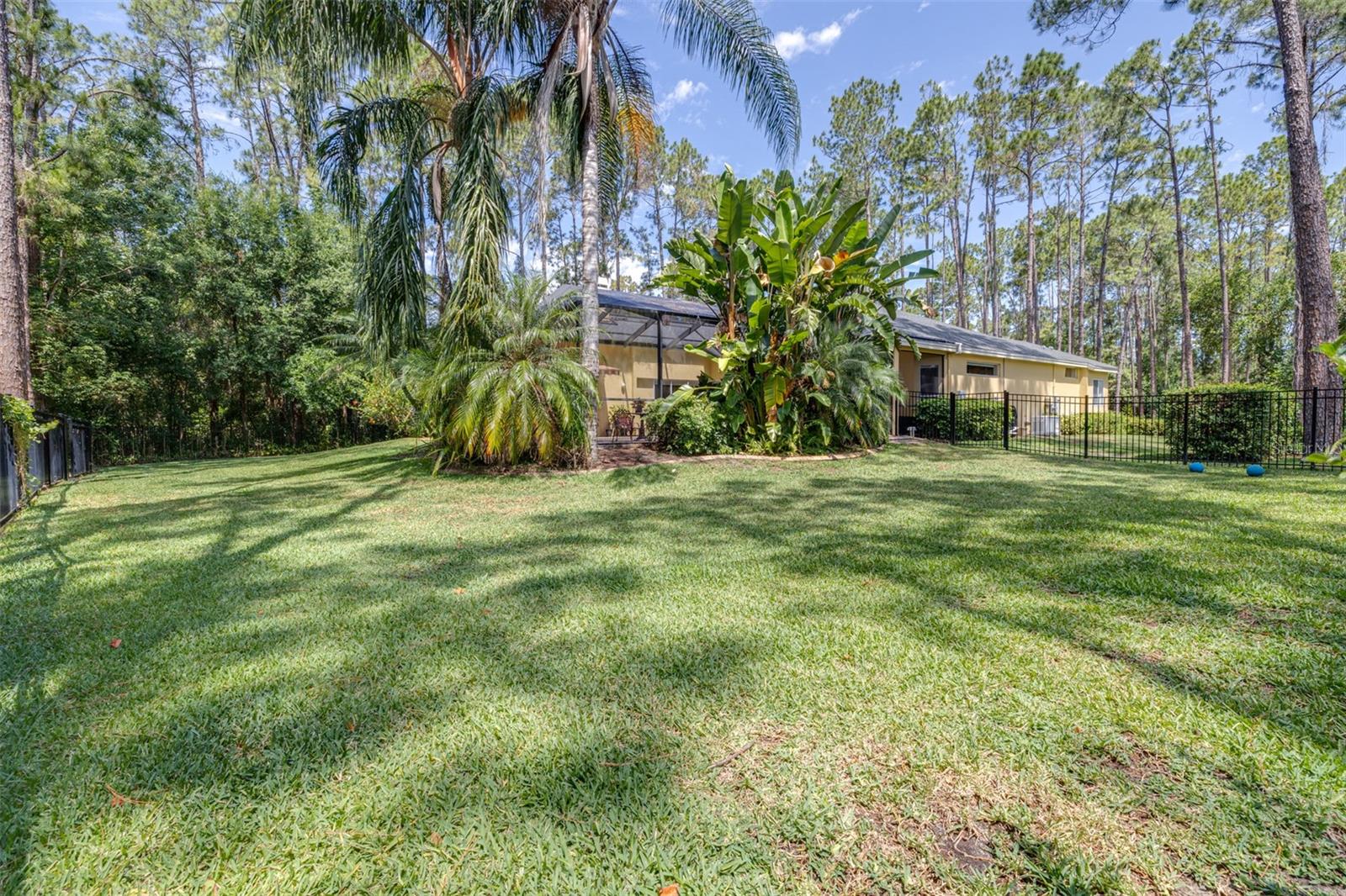 313 PINE BLUFF DR, LUTZ, FL, 33549