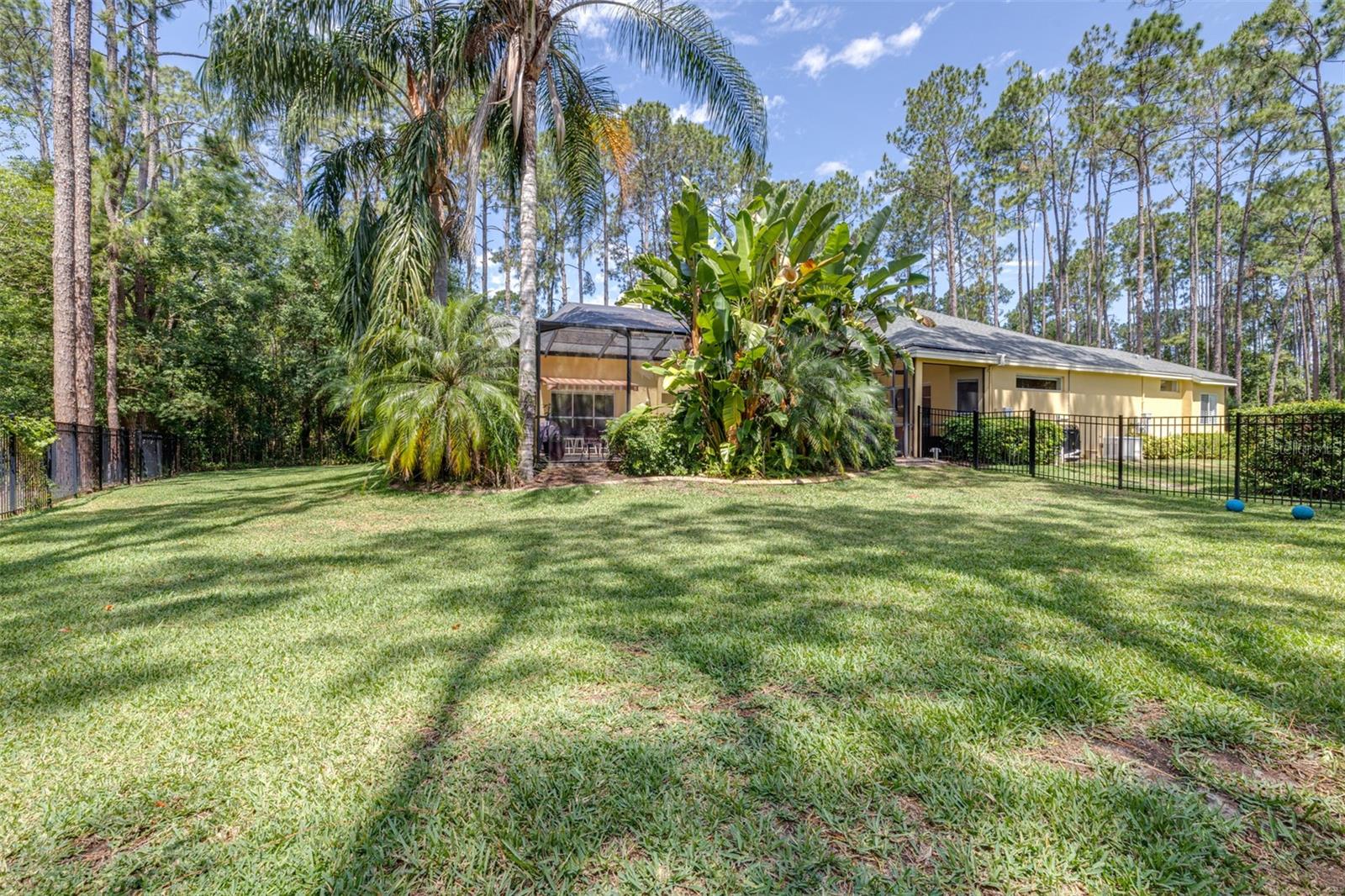 313 PINE BLUFF DR, LUTZ, FL, 33549
