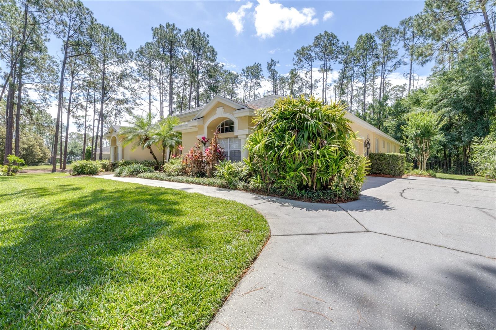 313 PINE BLUFF DR, LUTZ, FL, 33549