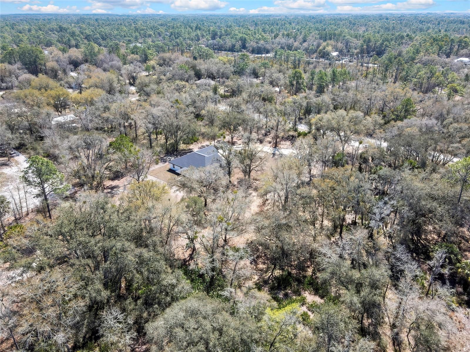 11983 W APPLETREE PL, CRYSTAL RIVER, FL, 34428