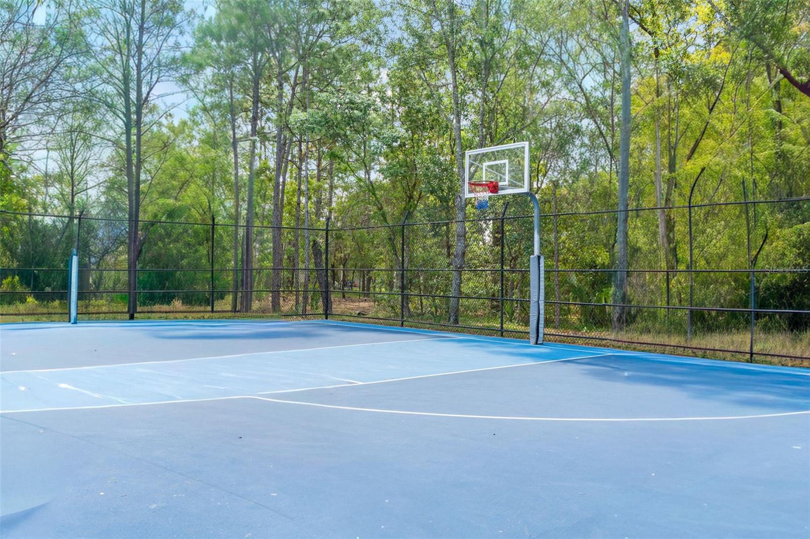 5155 BRACKENWOOD DR, SPRING HILL, FL, 34609