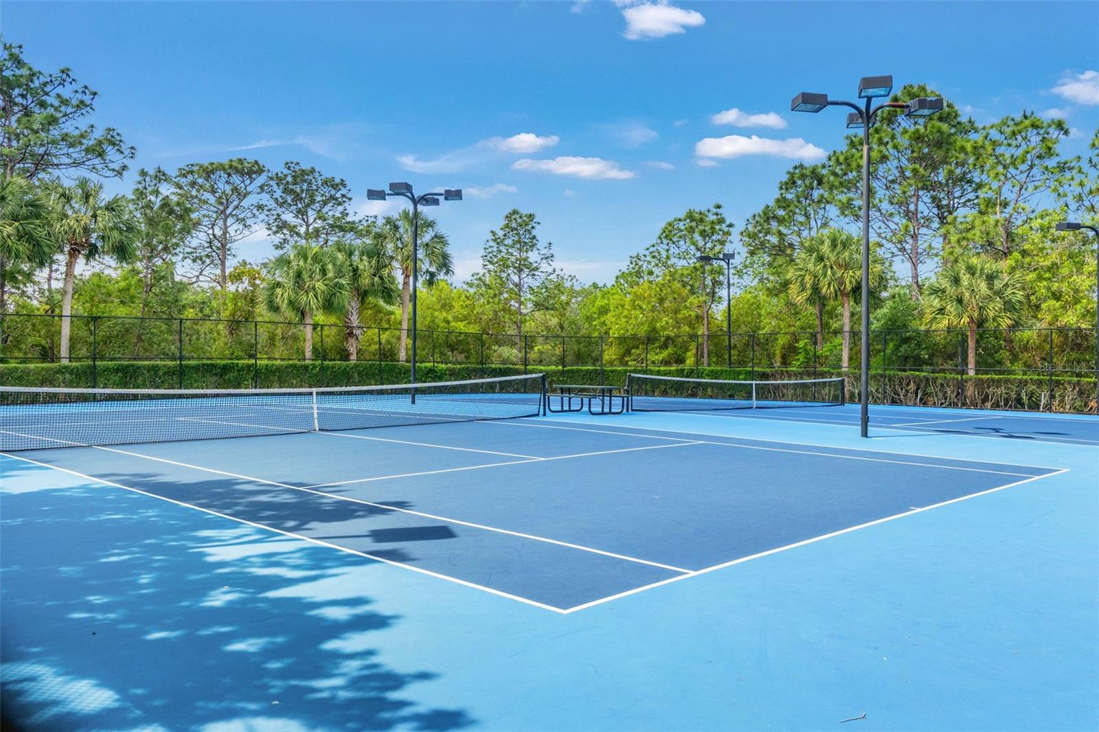 5155 BRACKENWOOD DR, SPRING HILL, FL, 34609