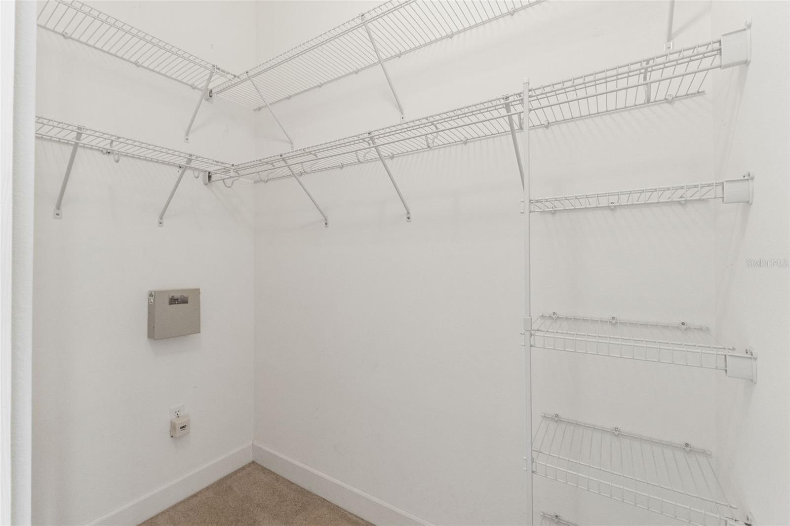 5155 BRACKENWOOD DR, SPRING HILL, FL, 34609