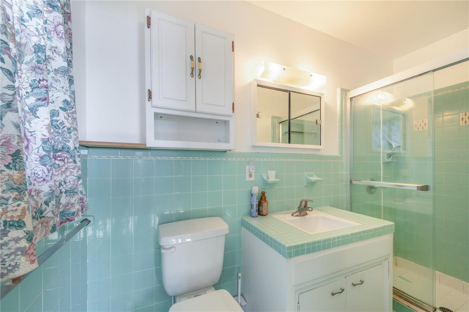 1212 W LAKE BUCKEYE DR, WINTER HAVEN, FL, 33881