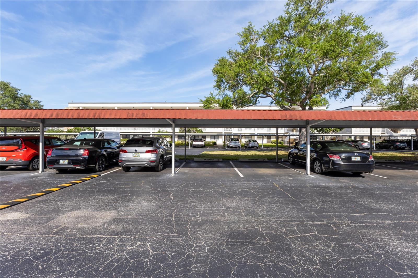 4915 BAY ST NE #224, ST PETERSBURG, FL, 33703