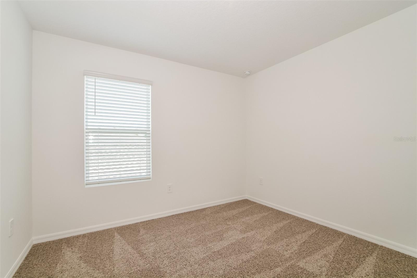 3443 NETTLE LOOP, TAVARES, FL, 32778