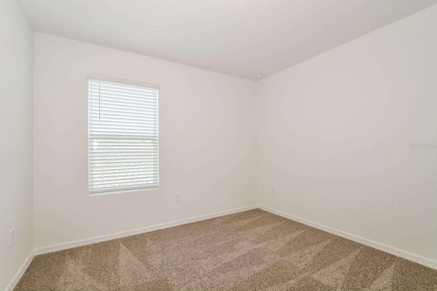 3443 NETTLE LOOP, TAVARES, FL, 32778