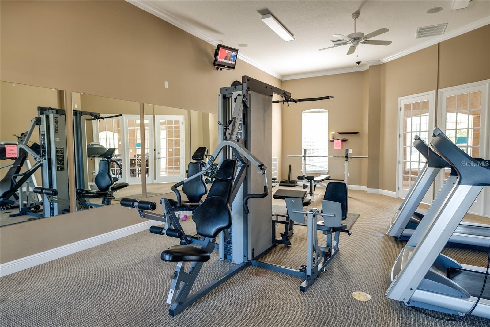 7001 INTERBAY BLVD #317, TAMPA, FL, 33616