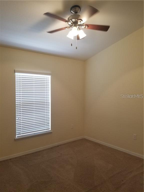 7001 INTERBAY BLVD #317, TAMPA, FL, 33616