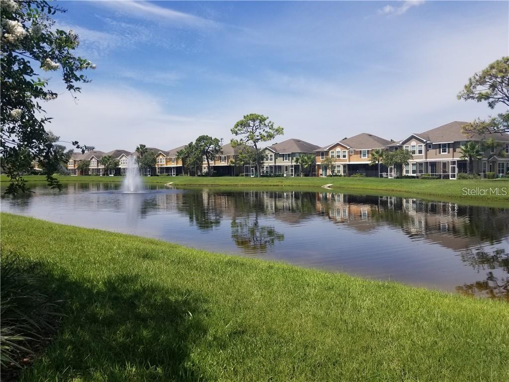 7001 INTERBAY BLVD #317, TAMPA, FL, 33616