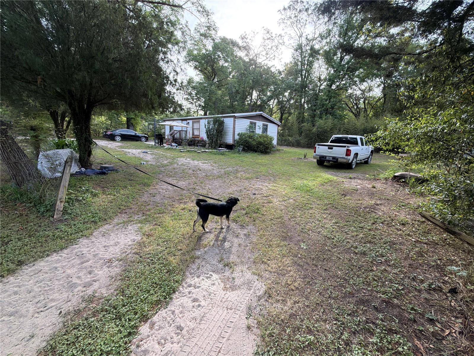 430 MARGARET ST, BRONSON, FL, 32621