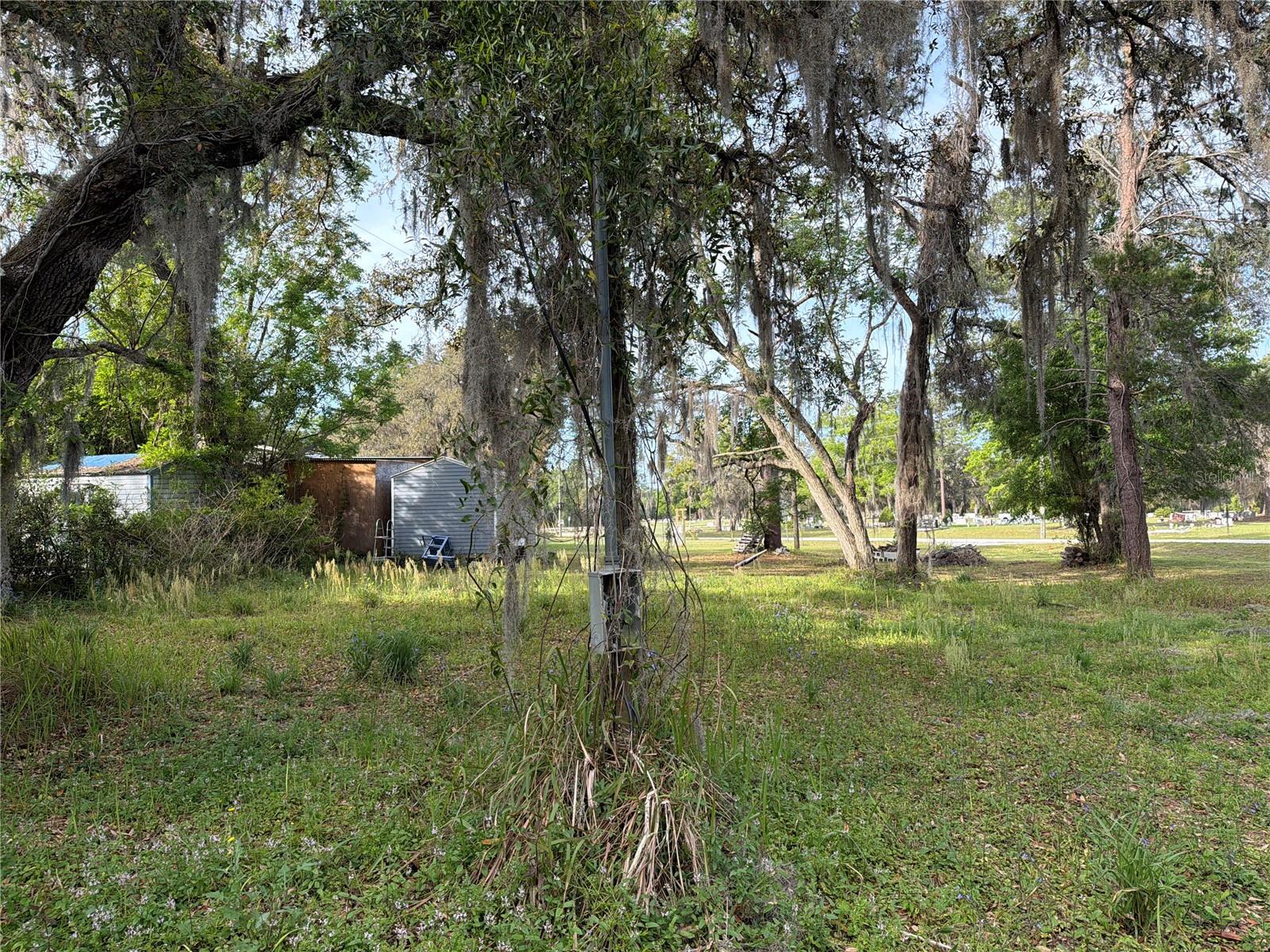 430 MARGARET ST, BRONSON, FL, 32621