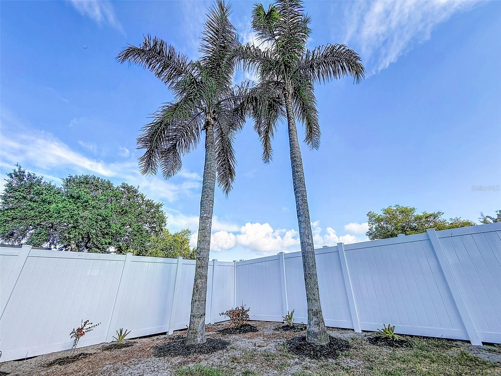 850 KAREN ST, PALM HARBOR, FL, 34683