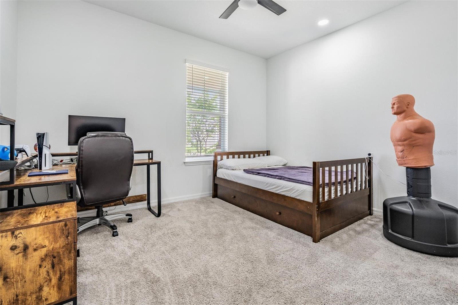 9405 IBIS GROVE BLVD, WESLEY CHAPEL, FL, 33545