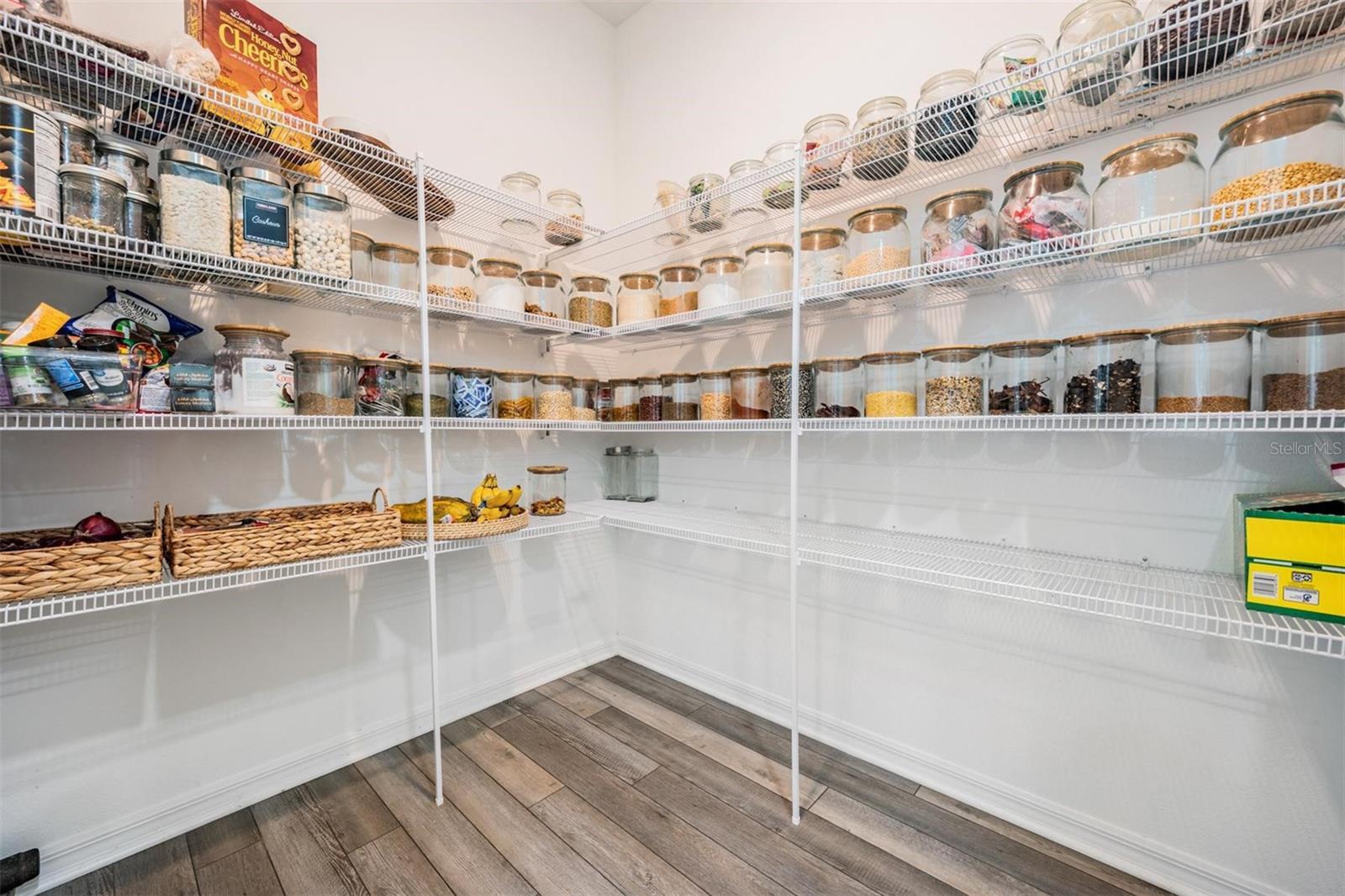 9405 IBIS GROVE BLVD, WESLEY CHAPEL, FL, 33545
