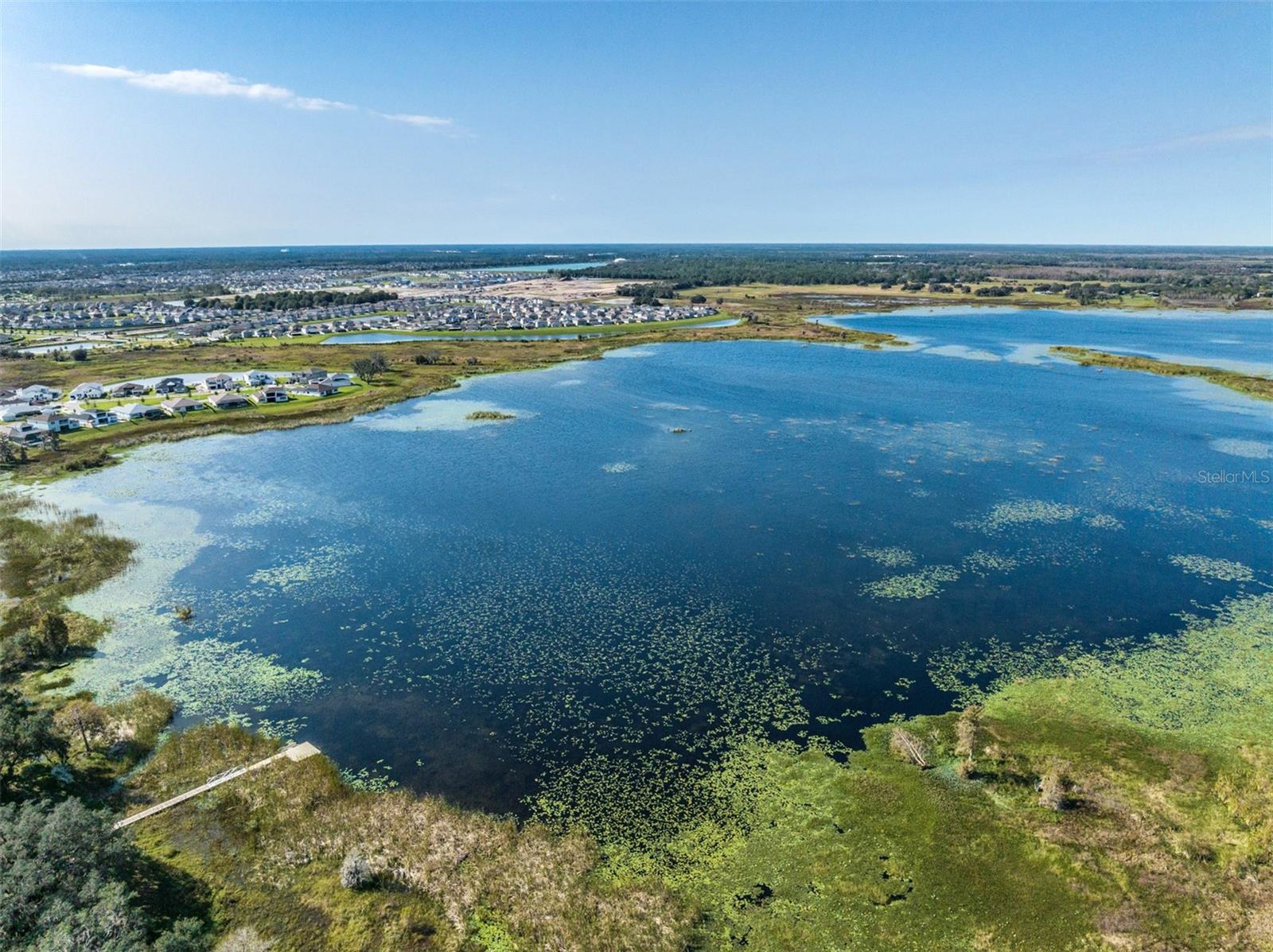 9405 IBIS GROVE BLVD, WESLEY CHAPEL, FL, 33545