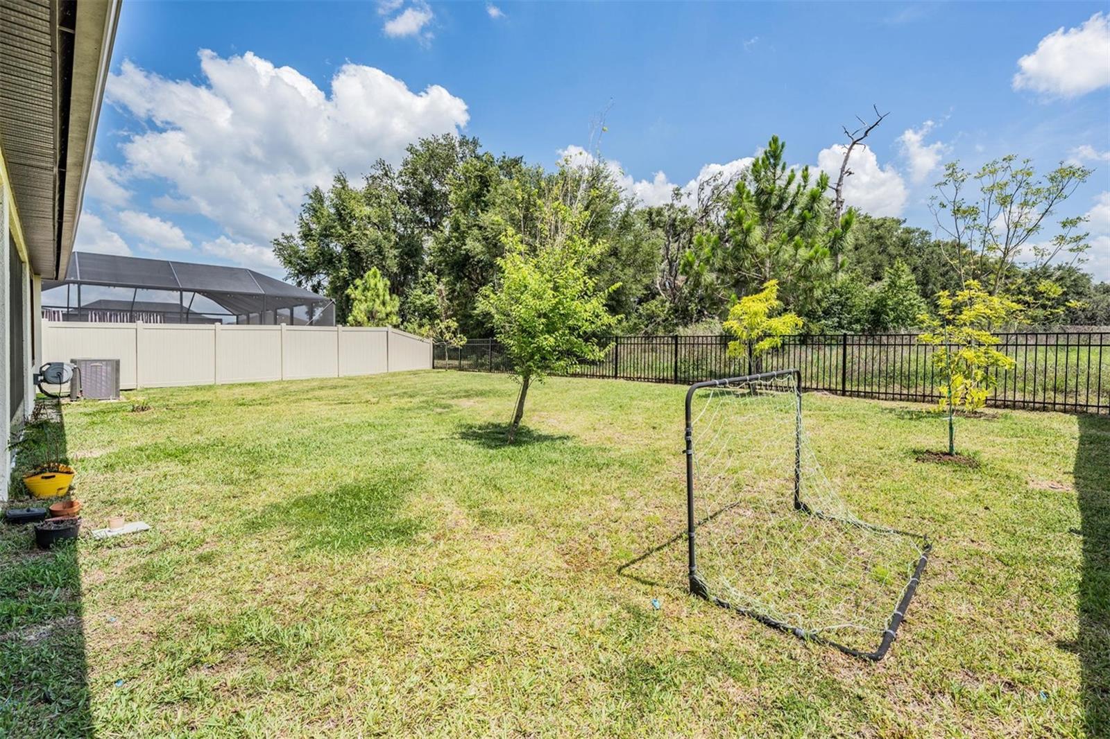 9405 IBIS GROVE BLVD, WESLEY CHAPEL, FL, 33545