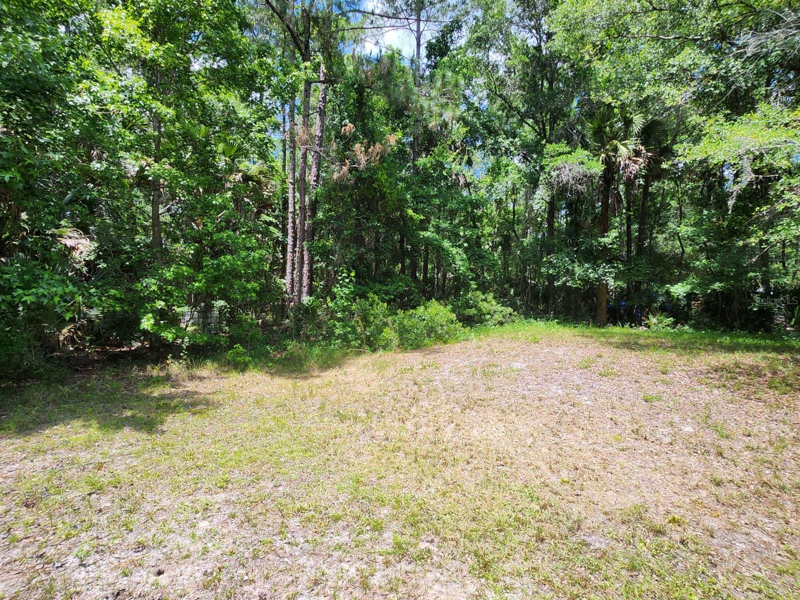 1450 ALMOND ST, BUNNELL, FL, 32110