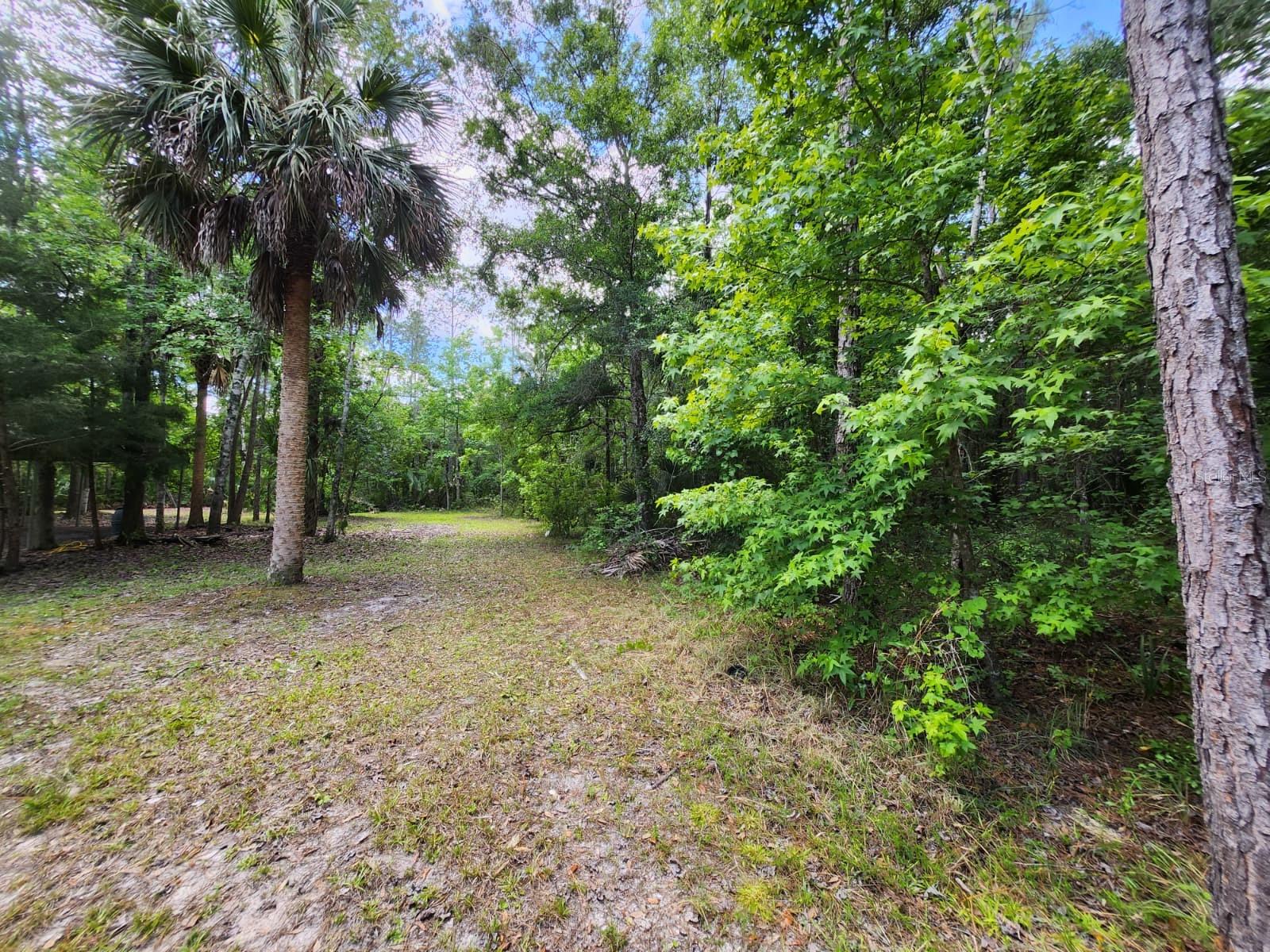 1450 ALMOND ST, BUNNELL, FL, 32110
