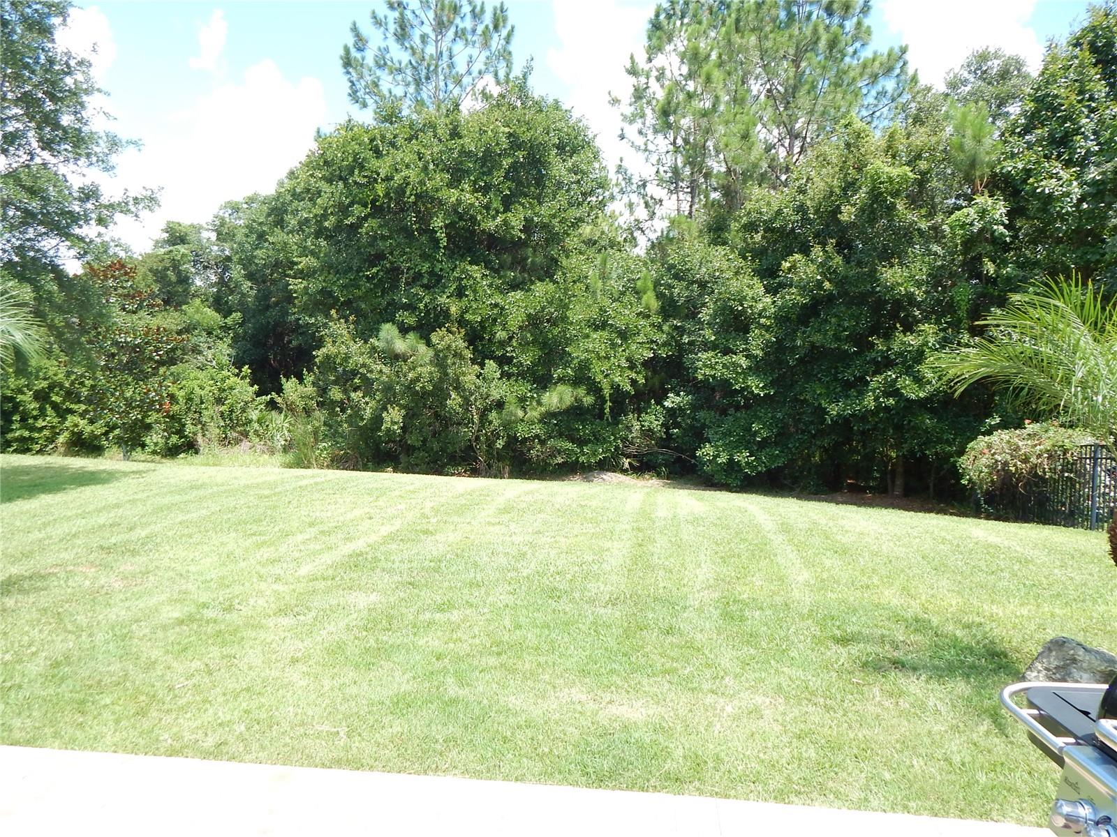 6433 BRIDGECREST DR, LITHIA, FL, 33547