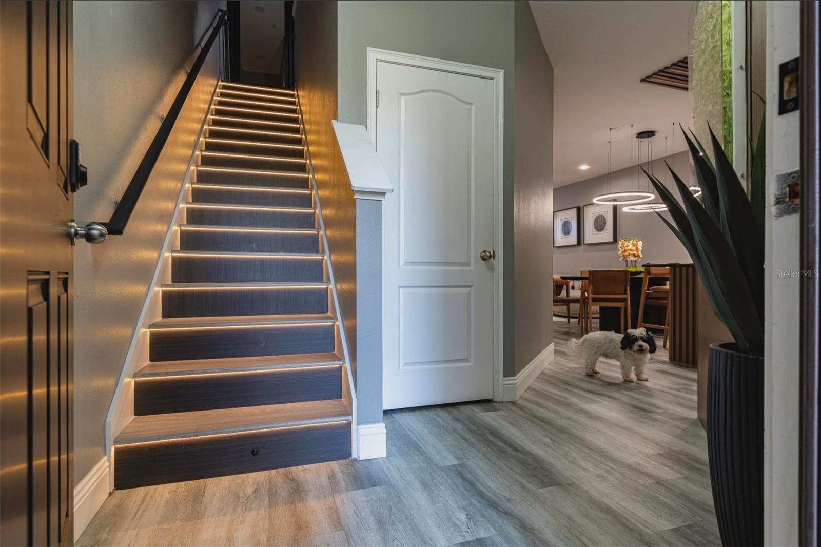 1512 GROUNDSEL LN, OCOEE, FL, 34761