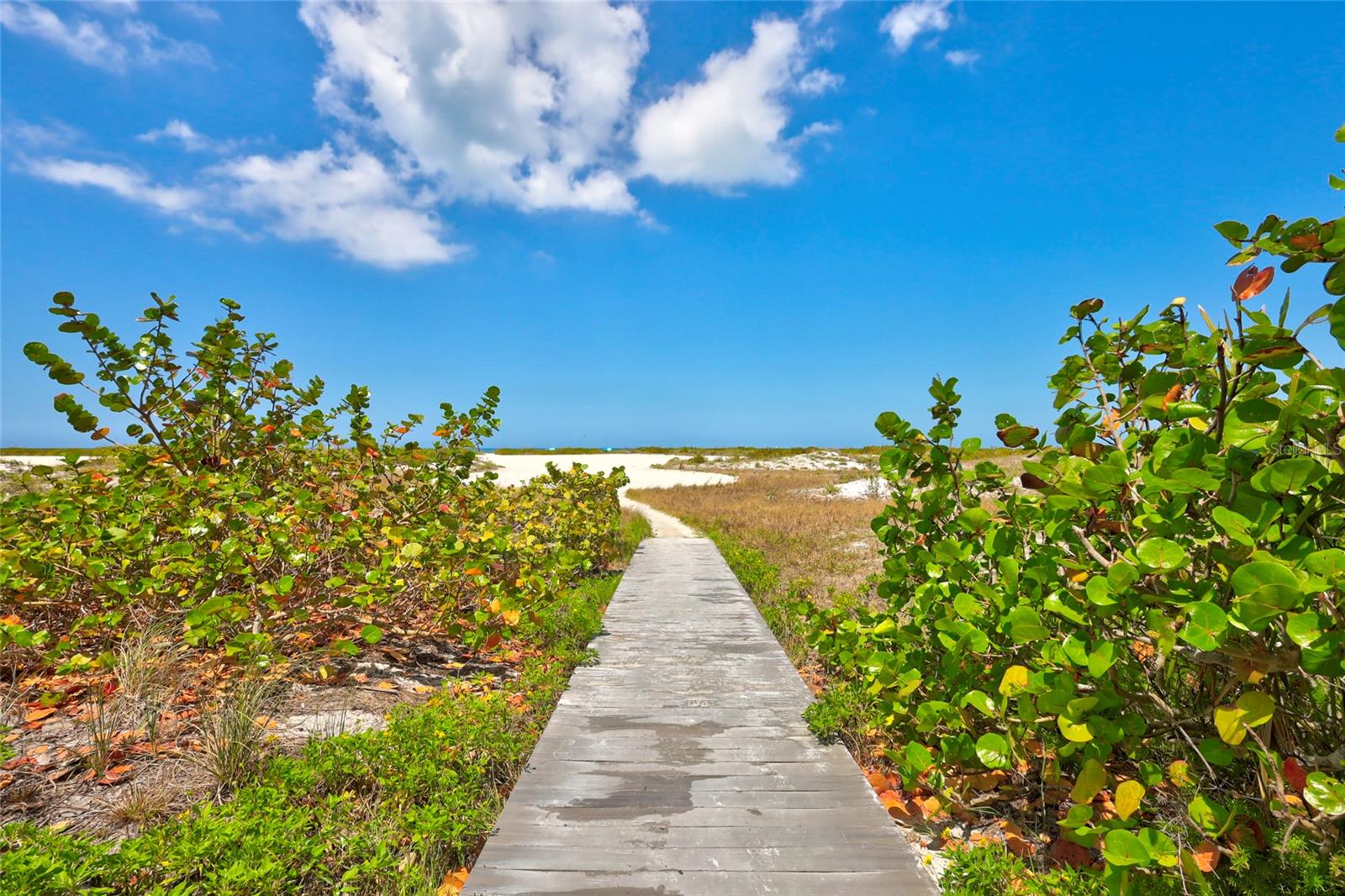 1290 GULF BLVD #1604, CLEARWATER BEACH, FL, 33767