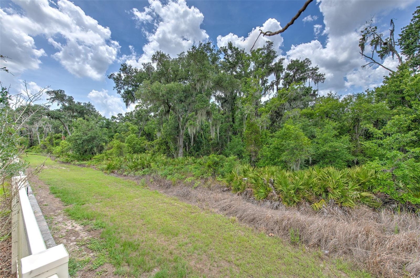 17334 WHITE MANGROVE DR, WIMAUMA, FL, 33598