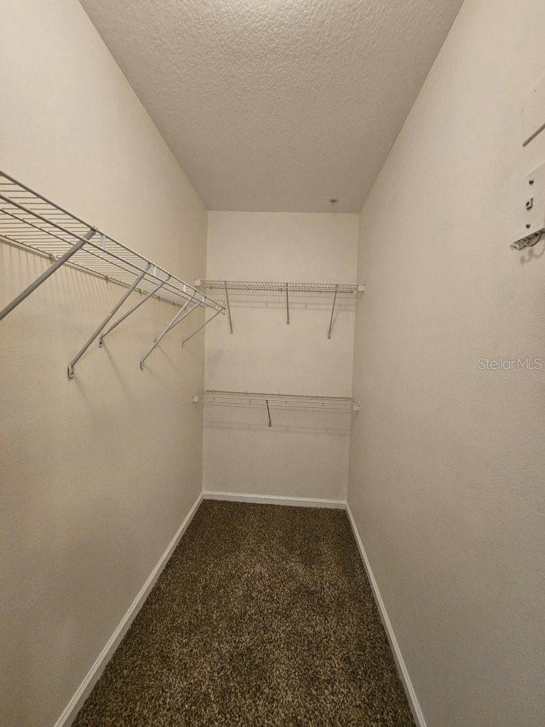 4207 S DALE MABRY HWY #10310, TAMPA, FL, 33611