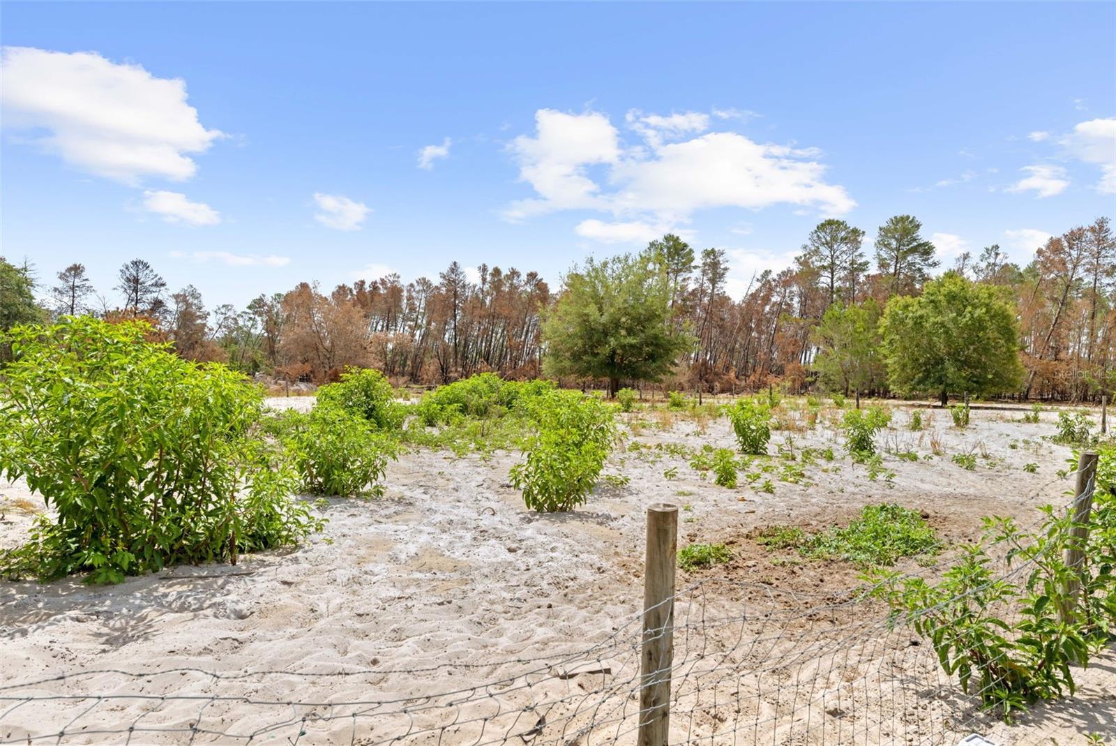 4161 BURNS RD, BROOKSVILLE, FL, 34602