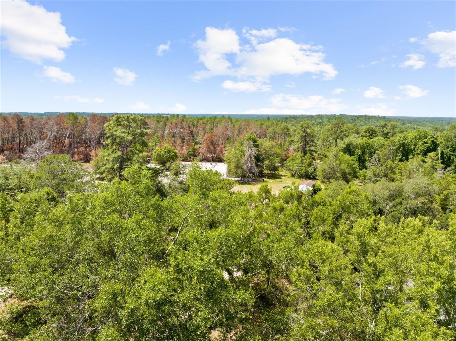 4161 BURNS RD, BROOKSVILLE, FL, 34602