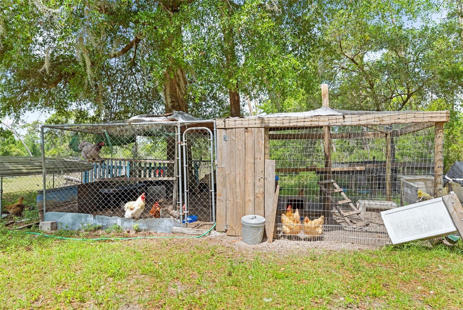 4161 BURNS RD, BROOKSVILLE, FL, 34602