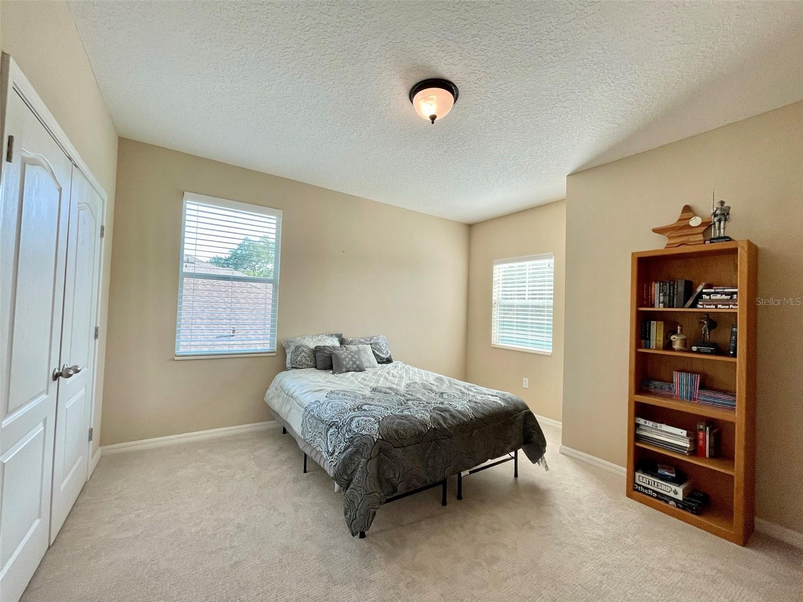 7215 S SHAMROCK RD, TAMPA, FL, 33616