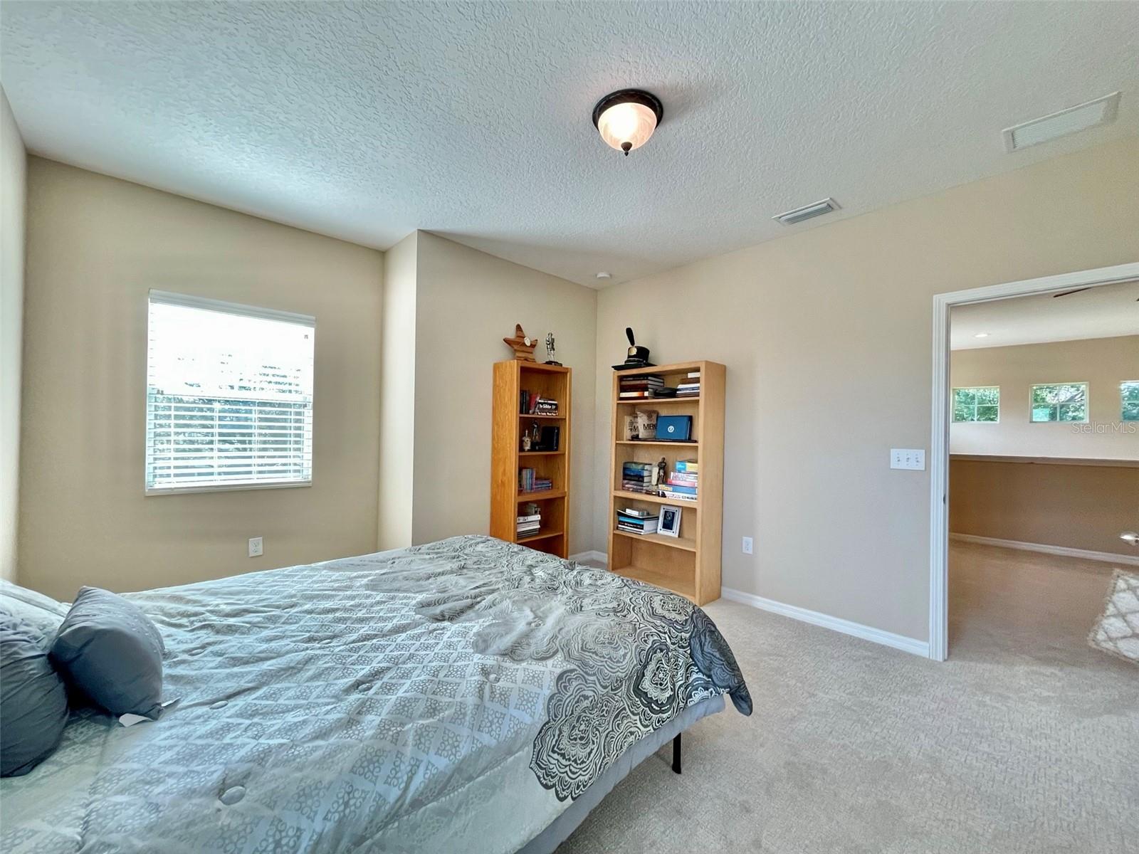 7215 S SHAMROCK RD, TAMPA, FL, 33616
