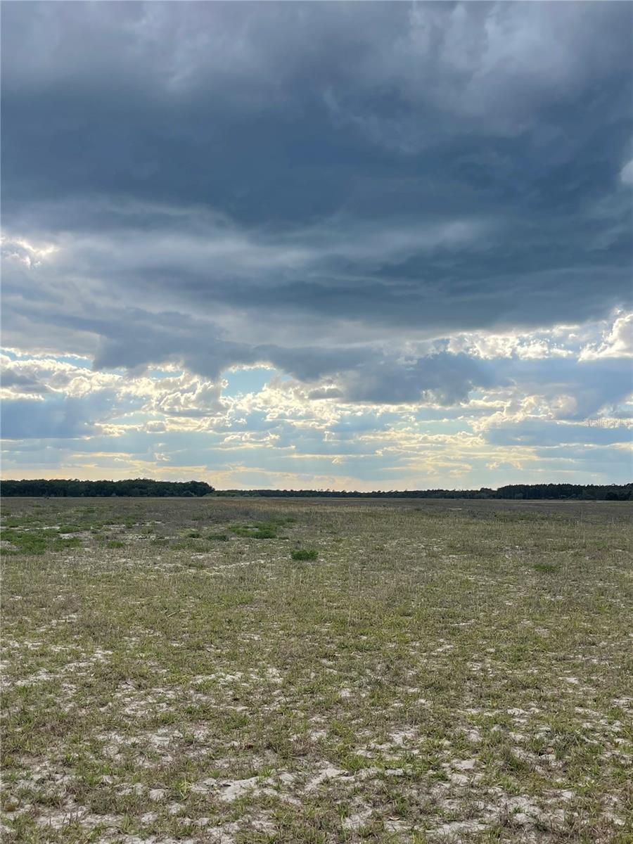 23535 NE 99TH AVENUE RD, CITRA, FL, 32113
