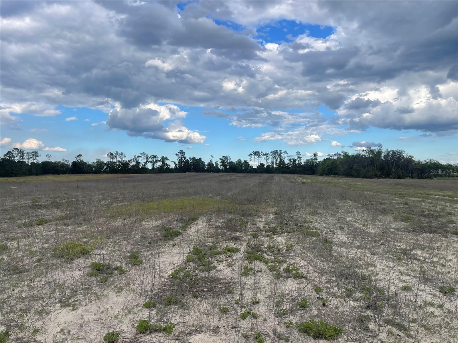 23535 NE 99TH AVENUE RD, CITRA, FL, 32113