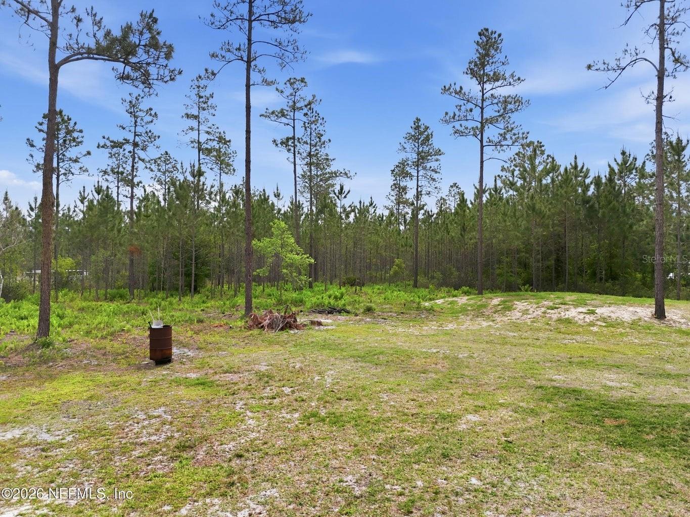 2626 WILL ELLEDGE RD, GLEN ST MARY, FL, 32040