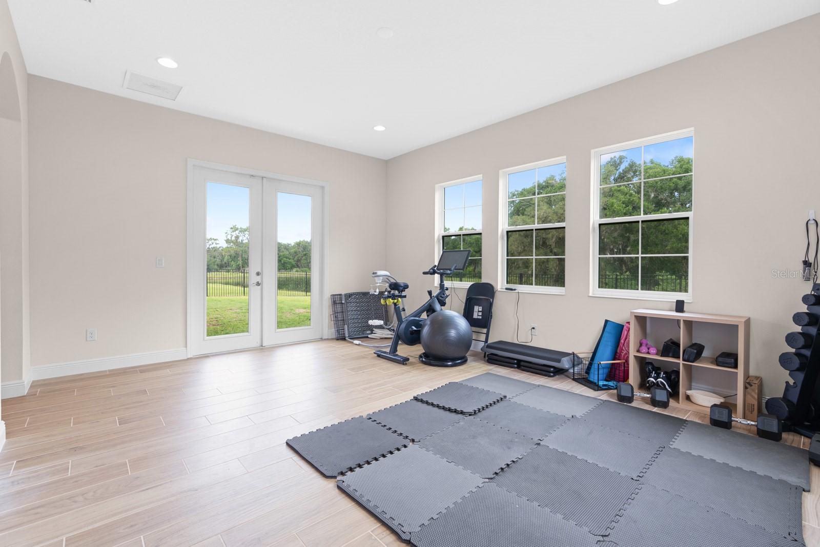 14544 SWISS BRIDGE DR, LITHIA, FL, 33547