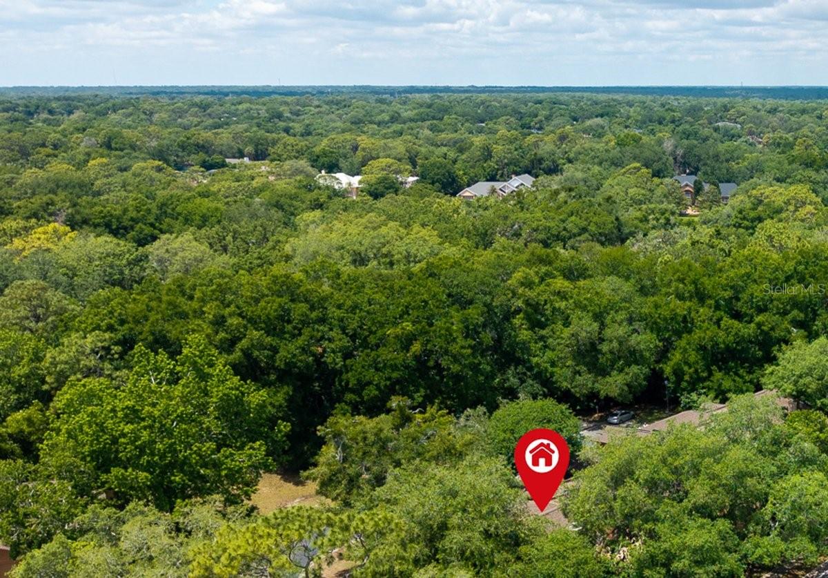 601 ALBANY CT, LONGWOOD, FL, 32779